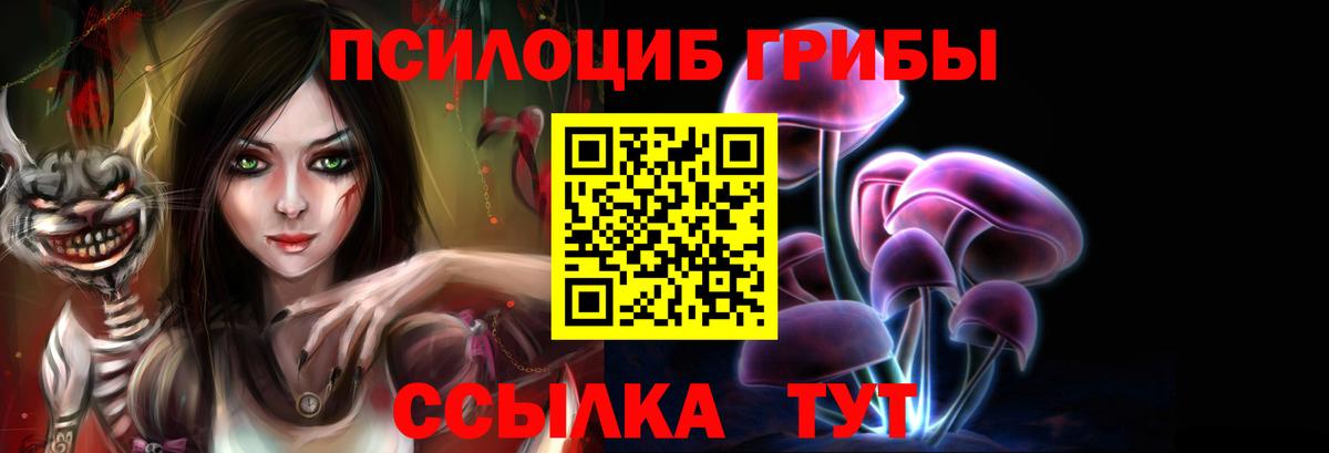 Псилоцибиновые грибы прущие грибы  Вход с VPN  Стрежевой 